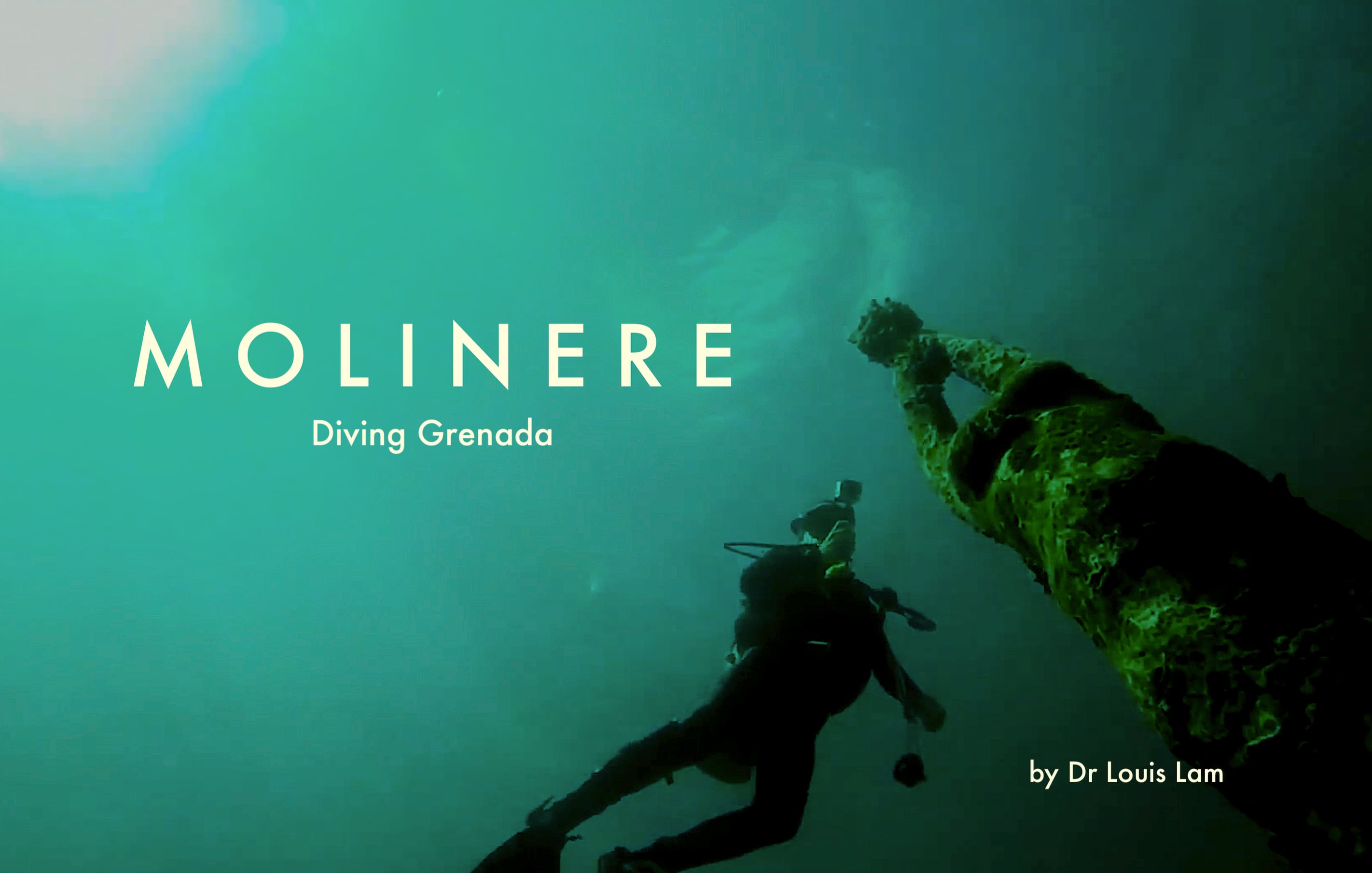 Grenada Dive