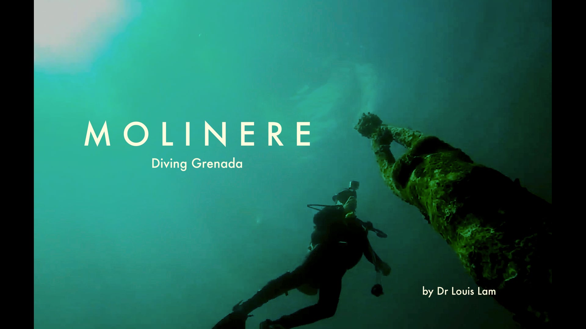 Grenada Dive