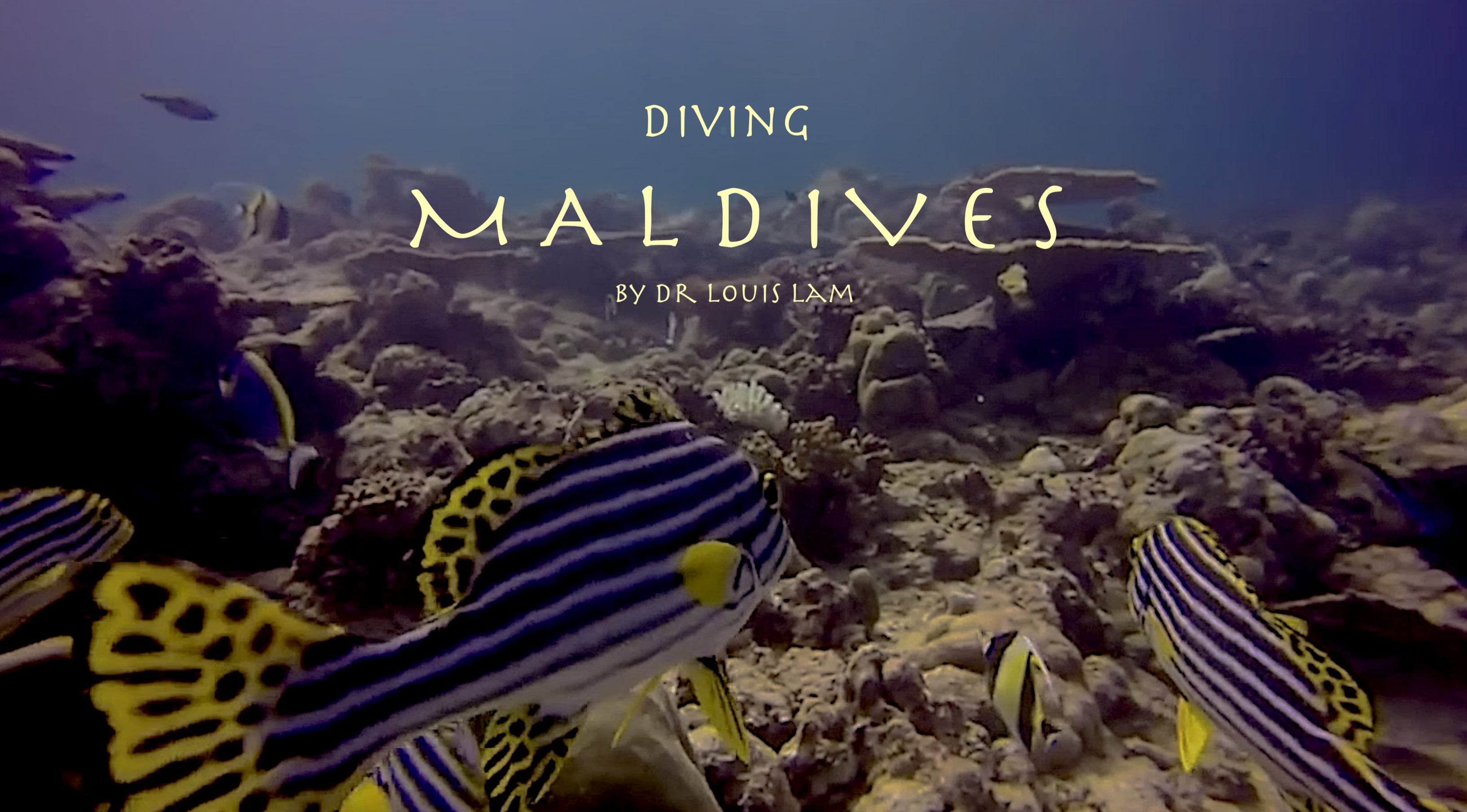 Maldives Diving