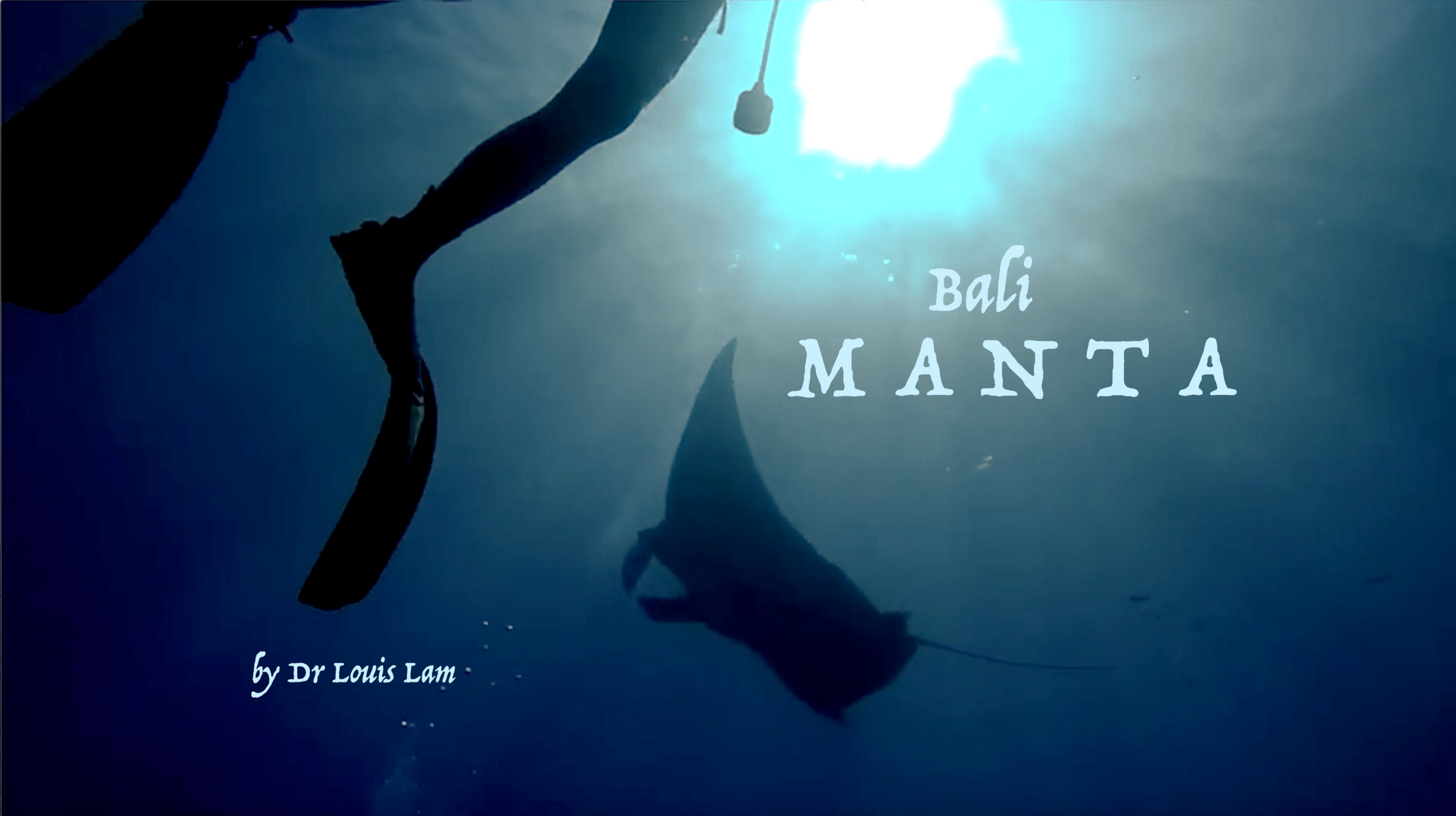 Manta Rays - Bali, Indonesia