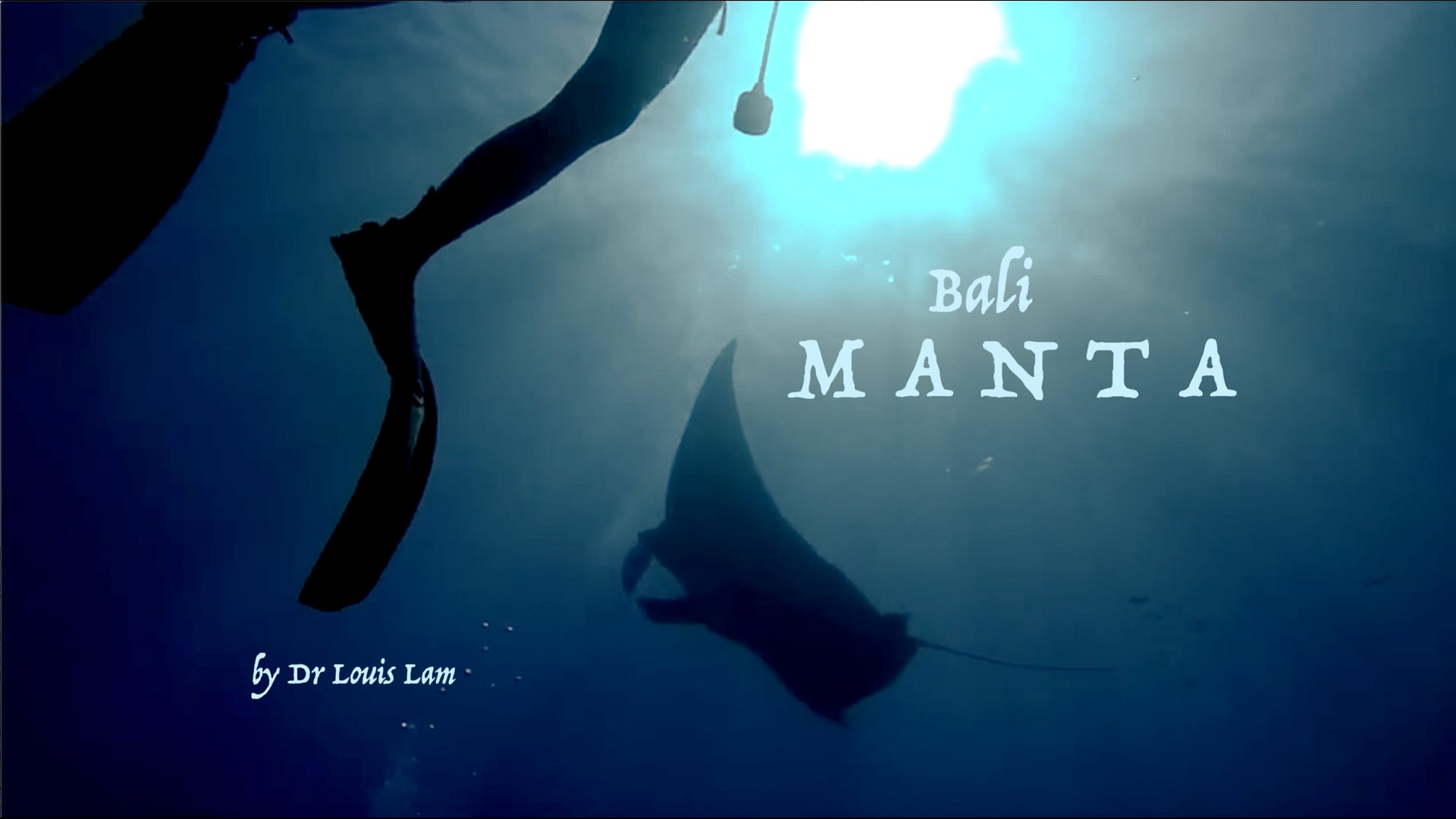 Manta Rays - Bali, Indonesia