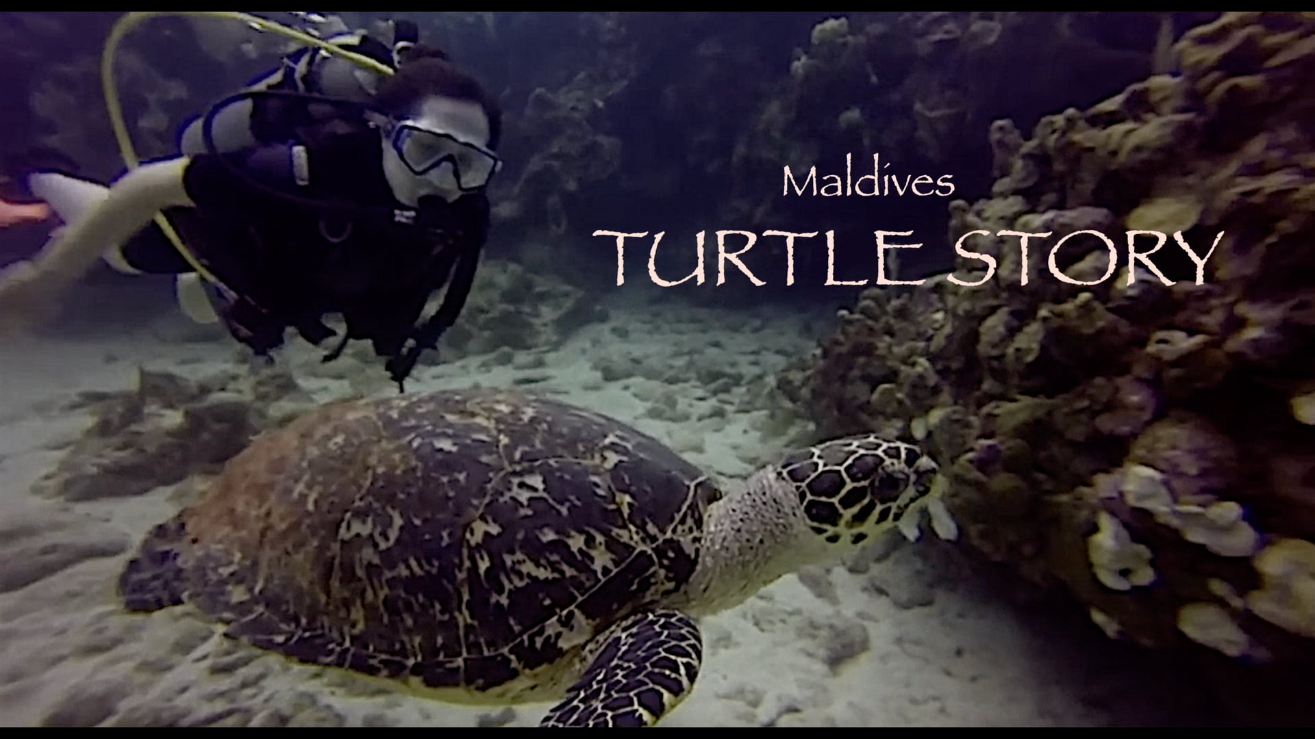 Sea 
Turtle Story - Maldives