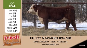 Lot #094 - FH 227 NAVARRO 094 MD