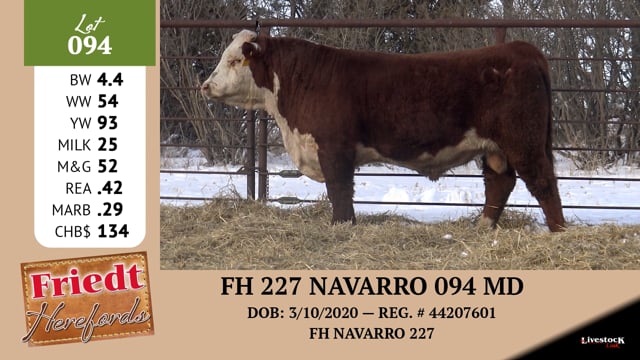 Lot #094 - FH 227 NAVARRO 094 MD
