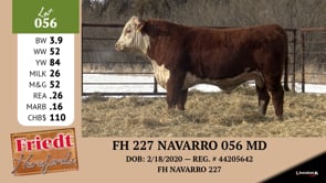 Lot #056 - FH 227 NAVARRO 056 MD