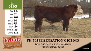 Lot #0103 - FH 7056E SENSATION 0103 MD