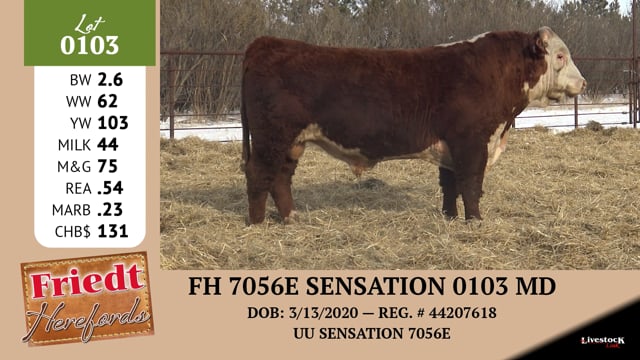 Lot #0103 - FH 7056E SENSATION 0103 MD