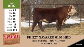 Lot #0107 - FH 227 NAVARRO 0107 HDD