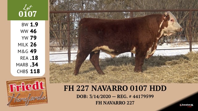 Lot #0107 - FH 227 NAVARRO 0107 HDD