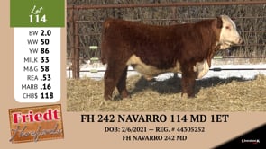 Lot #114 - FH 242 NAVARRO 114 MD 1ET