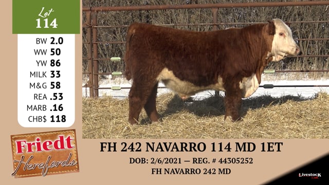 Lot #114 - FH 242 NAVARRO 114 MD 1ET
