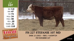 Lot #107 - FH 227 STEFANIE 107 MD