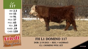Lot #117 - FH L1 DOMINO 117