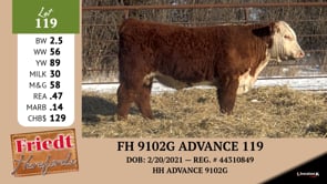 Lot #119 - FH 9102 G ADVANCE 119