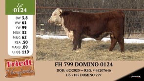 Lot #0124 - FH 799 DOMINO 0124