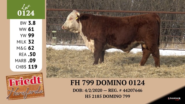 Lot #0124 - FH 799 DOMINO 0124