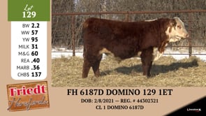 Lot #129 - FH 6187 DOMINO 129 1ET