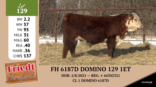 Lot #129 - FH 6187 DOMINO 129 1ET