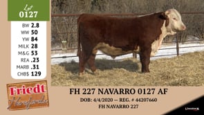 Lot #0127 - FH 227 NAVARRO 0127 AF