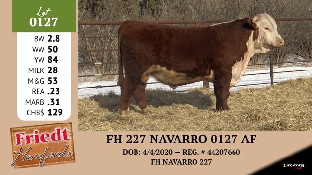 Lot #0127 - FH 227 NAVARRO 0127 AF