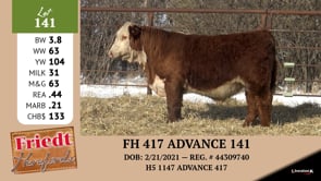 Lot #141 - FH 417 ADVANCE 141