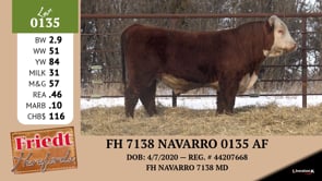 Lot #0135 - FH 7138 NAVARRO 0135 AF