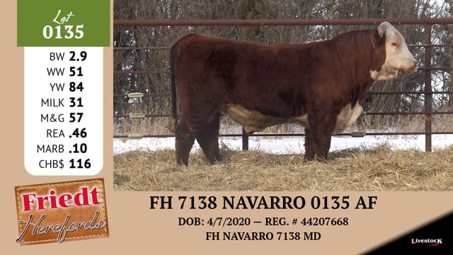 Lot #0135 - FH 7138 NAVARRO 0135 AF