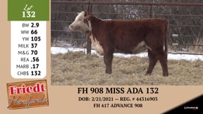 Lot #132 - FH 908 MISS ADA 132