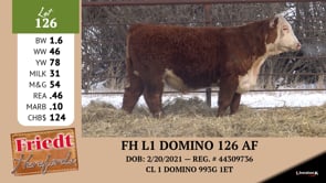 Lot #126 - FH L1 DOMINO 126 AF