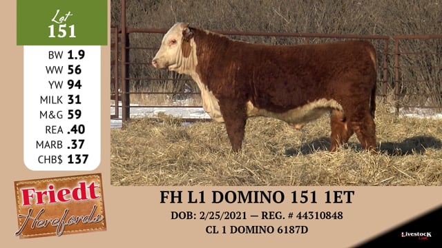 Lot #151 - FH 6187 DOMINO 151 1ET