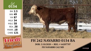 Lot #0154 - FH 242 NAVARRO 0154 BA