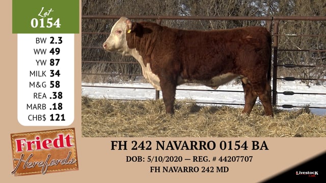 Lot #0154 - FH 242 NAVARRO 0154 BA