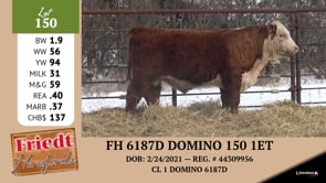 Lot #150 - FH 6187 DOMINO 150 1ET