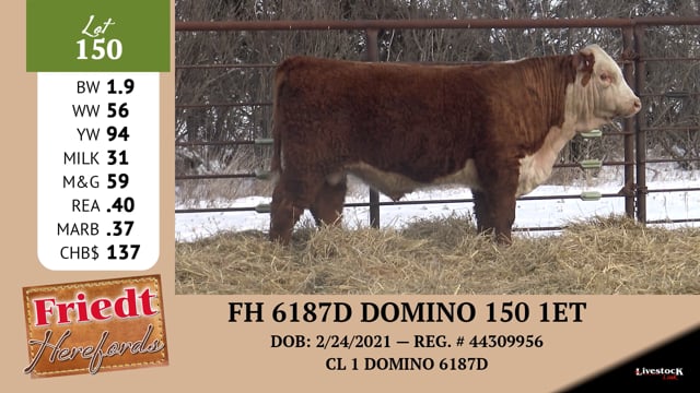 Lot #150 - FH 6187 DOMINO 150 1ET