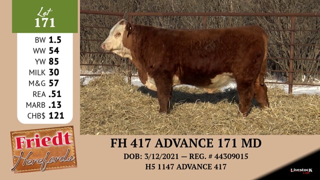 Lot #171 - FH 417 ADVANCE 171 MD