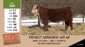 Lot #169 - FH 8217 ADVANCE 169 AF