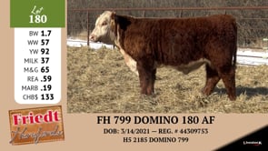 Lot #180 - FH 799 DOMINO 180 AF