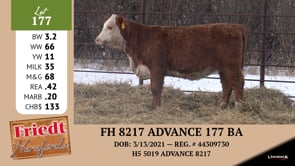 Lot #177 - FH 8217 ADVANCE 177 BA