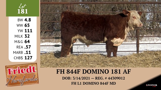 Lot #181 - FH 844F DOMINO 181 AF