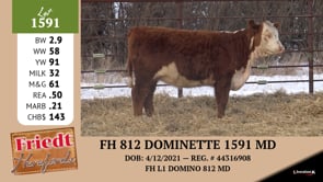 Lot #1591 - FH 812 DOMINETTE 1591 MD