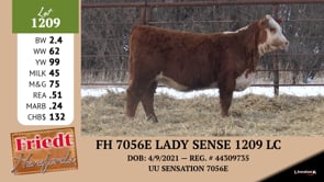 Lot #1209 - FH 7056E LADY SENSE 1209 LC