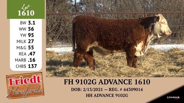 Lot #1610 - FH 9102G ADVANCE 1610