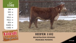Lot #1102 - 1102