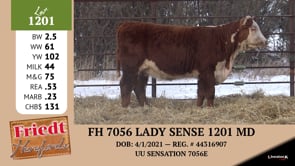 Lot #1201 - FH 7056 LADY SENSE 1201 MD