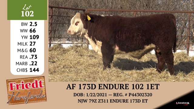 Lot #102 - AF 173D ENDURE 102 1ET