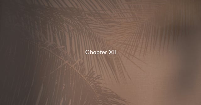 Creative Collection Chapter XII