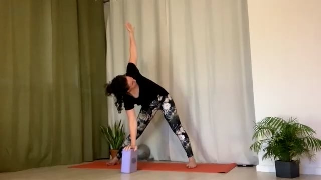 Forrest yoga // Low Back + Hamstring Care // 80 min