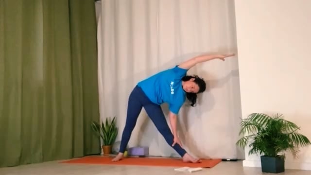 Forrest Yoga // SPS: Grounding Twists, Hamstrings + Hips // 60 min