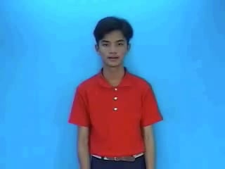 cham-3858