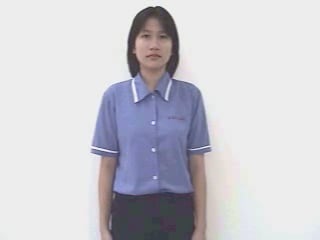 cham-3859